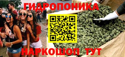гидропоника Ипатово